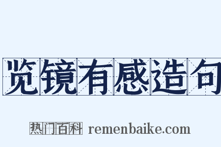 览镜有感造句是什么意思的图片